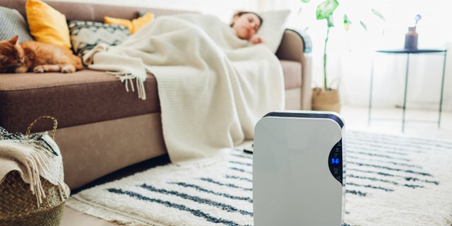 Pasang Air Purifier di Rumah, Apakah Bisa Matikan Virus Covid-19?