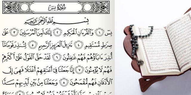 Download 69+ Contoh Surat Surat Yasin Surat Ke Berapa Di Alquran Gratis