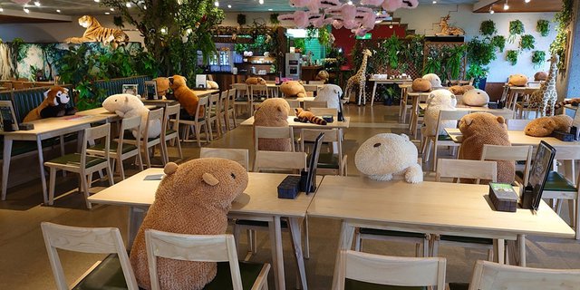 Gemas! Kebun Binatang Jepang Pakai Boneka Capybara Batasi Jarak Pengunjung