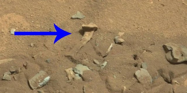 Heboh Ditemukan Tulang Manusia di Mars, Cek Faktanya