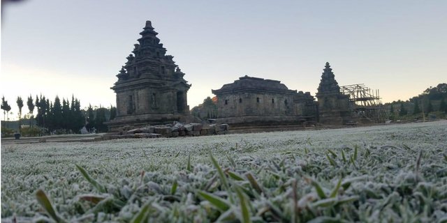 Musim Kemarau Tiba, Nikmati Indahnya Butiran Embun Es di Dieng