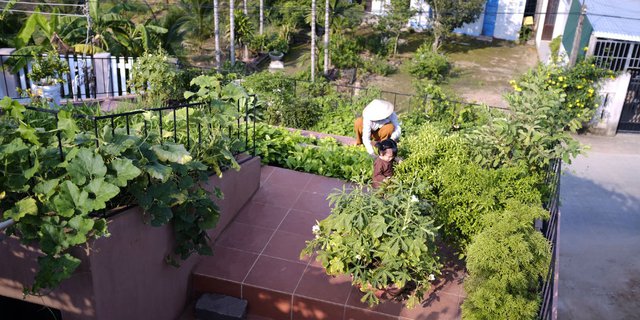 Arsitektur Rumah Atap Kebun Sayur Raih Penghargaan