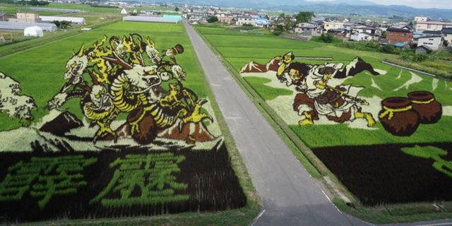 Desa Kuno Jadi Rumah Bagi Seni Sawah Paling Rumit di Jepang