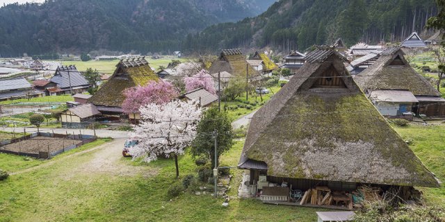 Miyama, Desa Kuno Jepang Tawarkan Pengalaman Liburan Unik