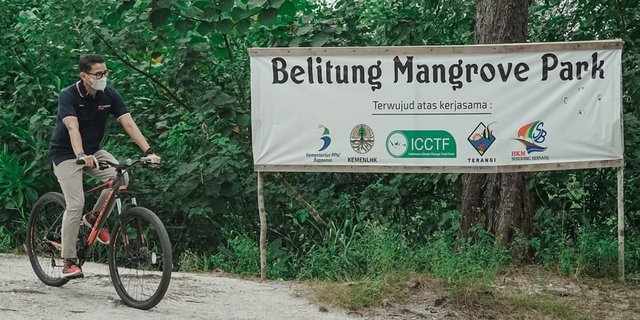 Hutan Juru Seberang, Destinasi Unggulan Baru di Belitung