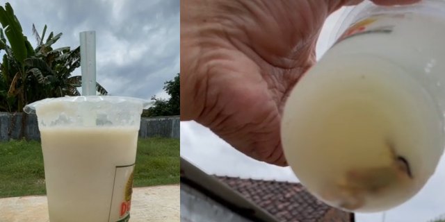 Viral! Buru-Buru Sedot Jus Durian Saking Hausnya, Ternyata Ada Cicaknya