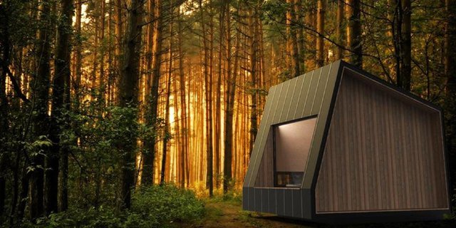 Ada Kamar Nyaman di Tengah Hutan, Bikin Pengen Camping