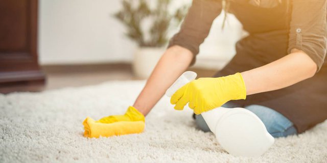 Cari Tahu Cara Membersihkan Karpet Tanpa Merusaknya