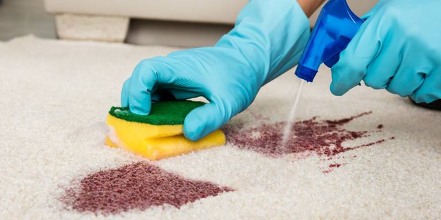 Cara Mudah Bersihkan Noda Minyak di Karpet Kesayangan