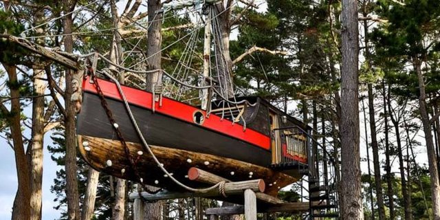 Kapal Berusia 150 Tahun Disulap Jadi Rumah Pohon