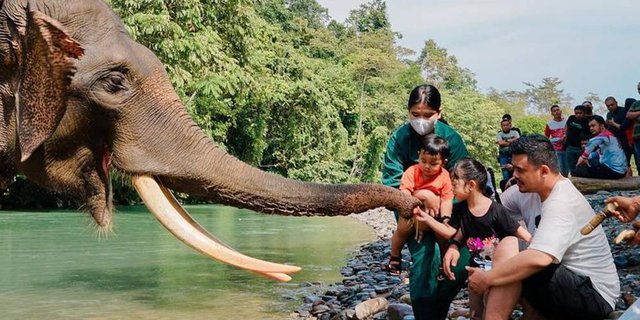 Potret Hangat Keluarga Bobby-Kahiyang Main dengan Gajah