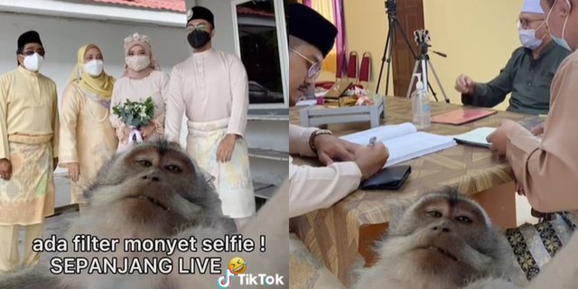 Viral Foto Pernikahan Tak Sengaja Pakai Filter Monyet, Bikin Ngakak Warganet!