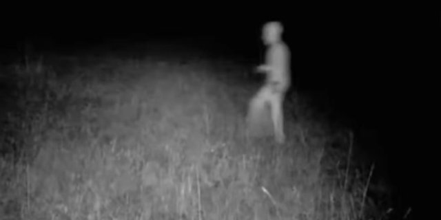 Pemburu Berhasil Rekam Sosok Alien Berkepala Bulat di Tempat Diduga Pendaratan UFO
