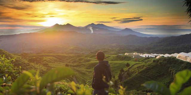 Tengok Aplikasi Terbaru untuk Bangkitkan Wisata Indonesia