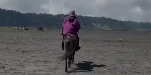 Viral Penunggang Kuda `Palak` Turis di Kawasan Bromo Karena Merekam Tanpa Izin