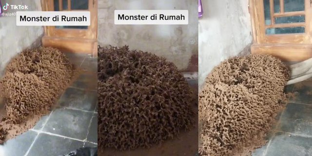Appearance of Giant Termite Mound Occupying the Floor of the House Makes You Shudder