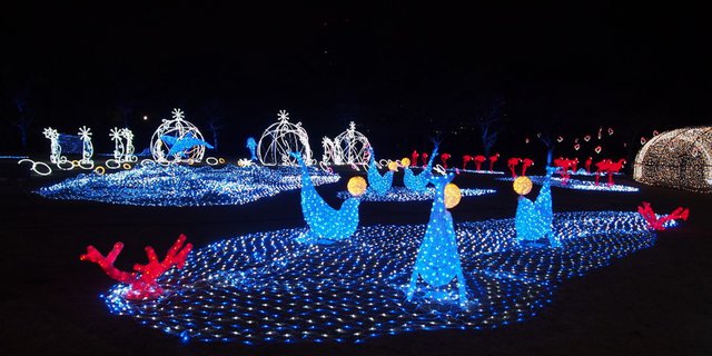 Year-End Holiday in Osaka, Don't Forget to Enjoy the 'Festival of the Lights'