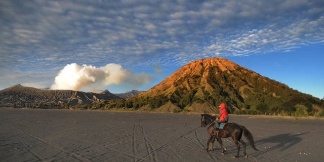 Semeru Eruption Does Not Affect Bromo Tourism, Remains Open as Usual