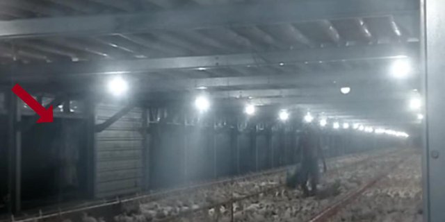 Kerja Shift Malam di Peternakan Ayam, Pemuda Kaget Lihat Penampakan Pocong di Pojokan, Sudah Berusaha Usir Endingnya...