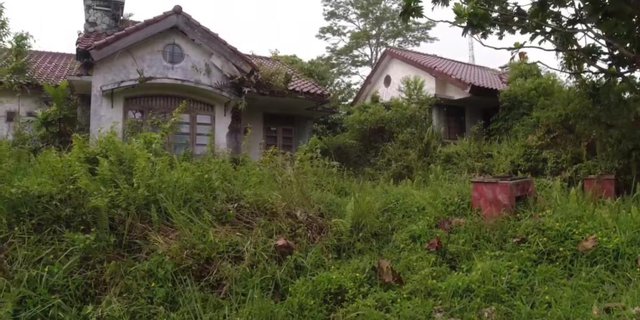 Portrait of Hundreds of Abandoned Villas in Subang Taken Over by Nature