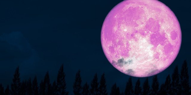 Rare Phenomenon Pink Moon will Decorate the Sky Starting Tonight