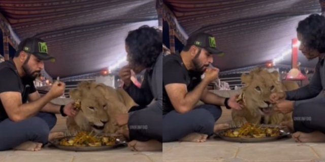 Making Dubai Residents Nervous, Breaking the Fast with a Lion, Netizens: If You're Still Hungry, Just Eat It!