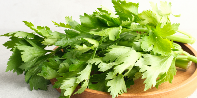 Celery Always Fresh and Fragrant, Find Out How to Store It