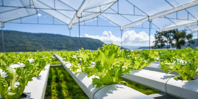 This Rooftop Hotel in Bali Becomes a Gardening Place