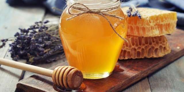 Elvish, Known as the Most Expensive Honey in the World