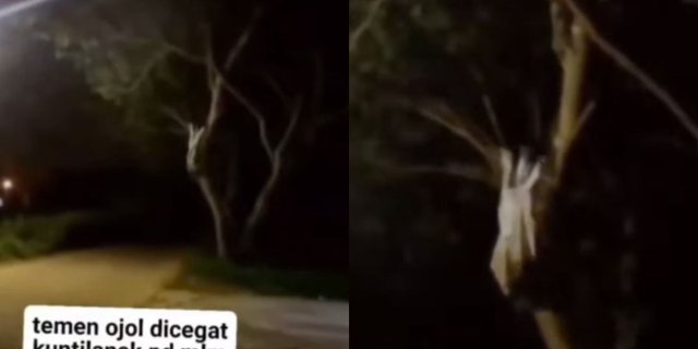 Momen Horor Driver Ojol Dicegat Sosok Berbaju Putih dan Berambut Panjang Duduk di Atas Pohon Bikin Merinding