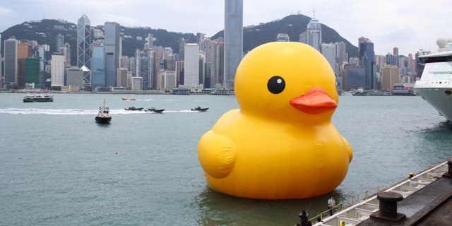 A Series of Exciting Activities in Hong Kong During the Summer Season: 'Giant Cute Duck, Slowly Mr. Driver'