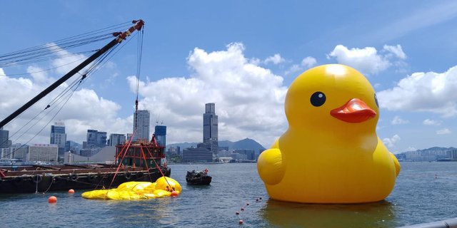 Story Behind the Appearance of Giant Duck at Hong Kong Port