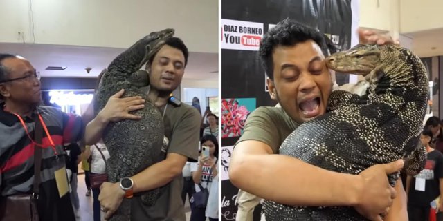 Panji Petualang Carries a Super Giant Komodo-Like Monitor Lizard, Unexpected Moment Happens When Its Tongue Sticks Out