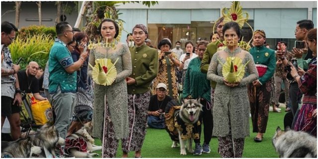 Dog Wedding Party Spends Up to Rp 200 Million, Is it a Sign of the End Times?