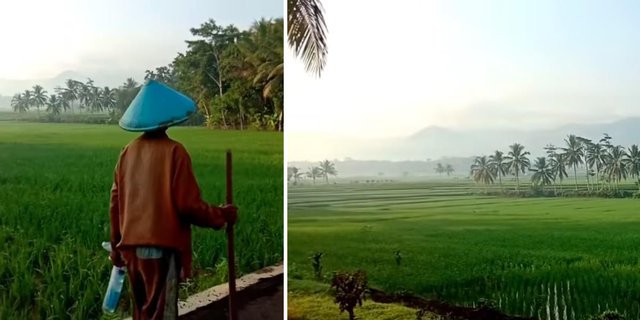 Amazing! The Atmosphere and Scenery of this Village in Banjarnegara is Said to Resemble a Painting
