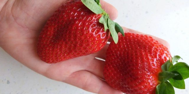 Beautiful Princes Makes Curious, Strawberries that Cost Rp5.3 Million Each