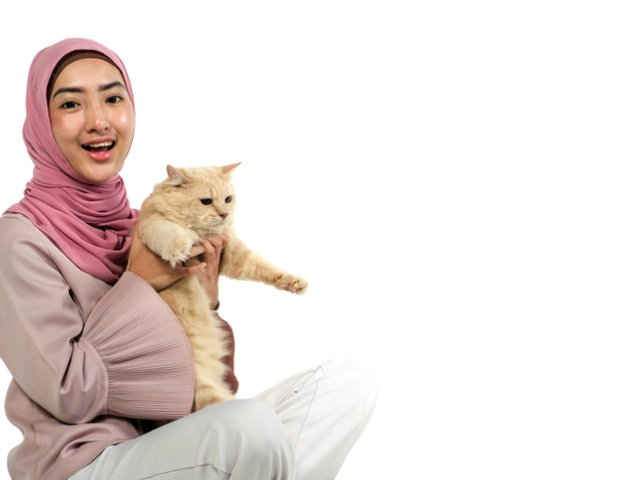 Kenapa kucing tak masuk syurga