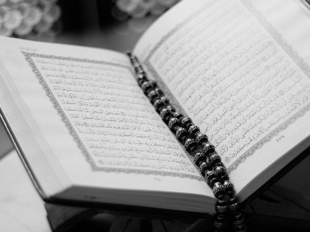 40 Kata Kata Bijak Islami Dari Ayat Al Quran Hati Jadi Tenang Dream Co Id