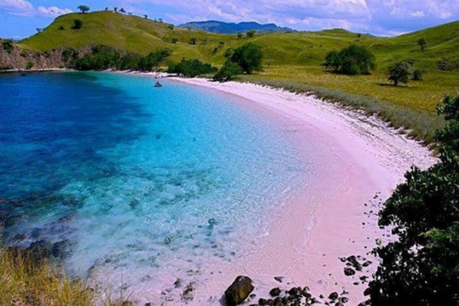 6 Pantai Merah Muda Paling Indah di Dunia Travel Dream co id