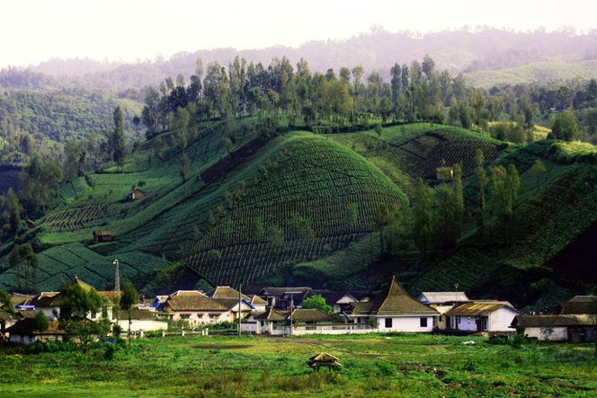 Ini Lho 5 Desa  Tertinggi di  Indonesia  yang Cantiknya Parah 