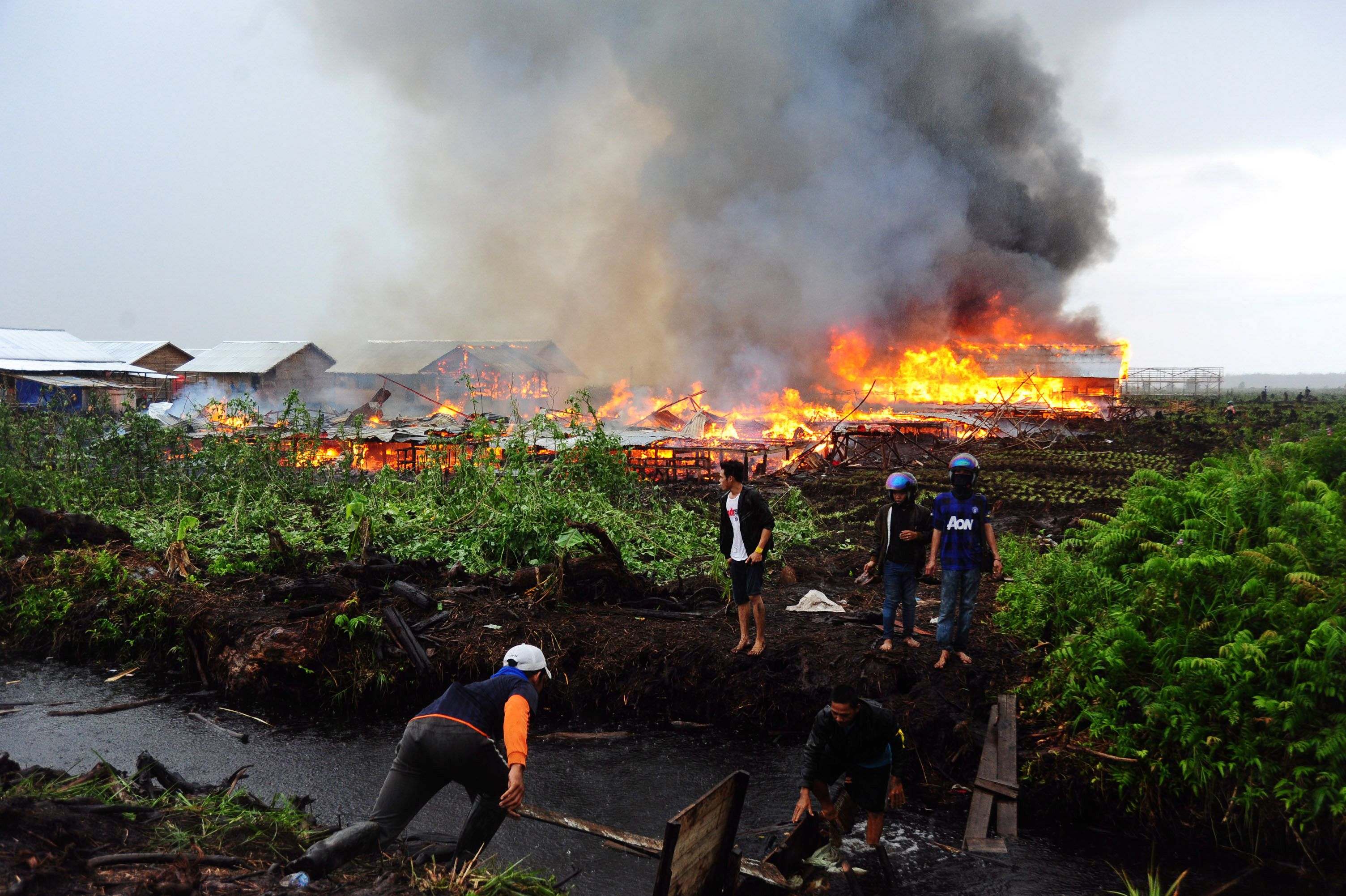 Mencekam! Pemukiman Warga Eks-Gafatar Dibakar Massa