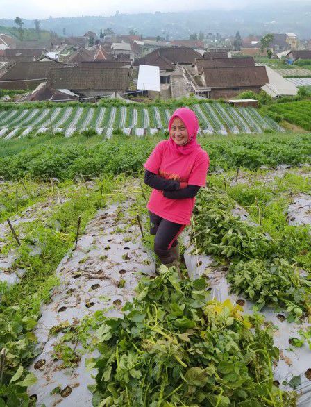 Ingat Biduan ‘Hot’ Novi Listiana, Nasibnya Berubah Drastis Kini Jadi Petani, Lihat 8 Potretnya