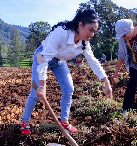 5 Potret Krisdayanti Ajak Amora dan Kellen Panen Kentang, Sepatu yang Dipakai Bikin Salfok