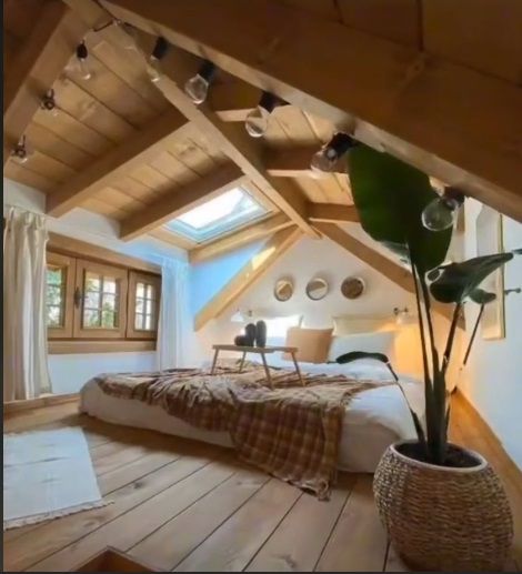 Dijuluki Rumah Anti Sombong, Desain Hunian Tengah Hutan Ini Bikin Syok, Lihat Isi Dalamnya Bak Villa Mewah!