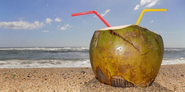  5 Manfaat Air kelapa muda Muda bagi Kesehatan Tubuh