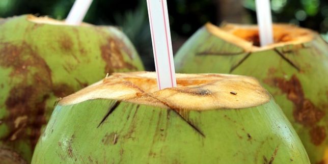  5 Manfaat Air kelapa muda Muda bagi Kesehatan Tubuh