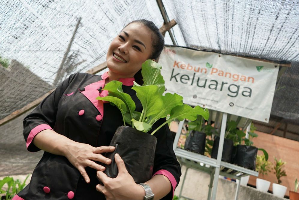  Kebun Pangan Keluarga