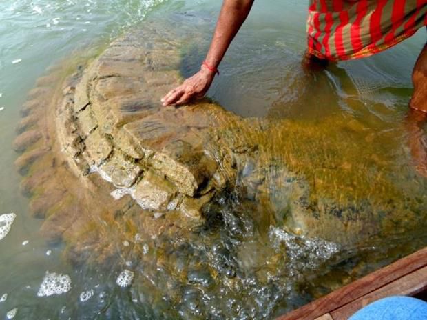  Banjir besar menenggelamkan kuil yang terendam 18 meter di bawah permukaan air.