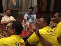 Kabar Terkini Persabatan Prabowo dan Kucing