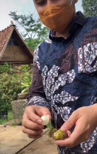 Wanita Ini Dipetikkan Suami  Rambutan di Kondangan